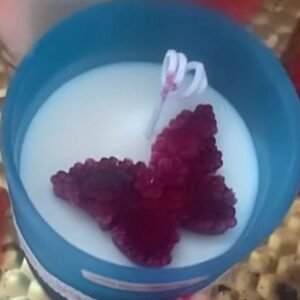 Butterfly Candle in Candle Jar Butterfly Candle in Candle Jar