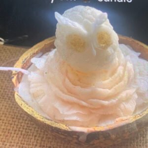 Baby Owl Candle