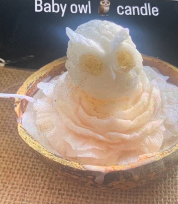 IMG_2980 Baby Owl Candle